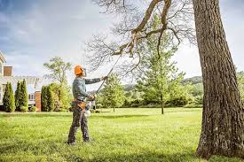 Seasonal Cleanup (Spring/Fall) in Miami Springs, FL